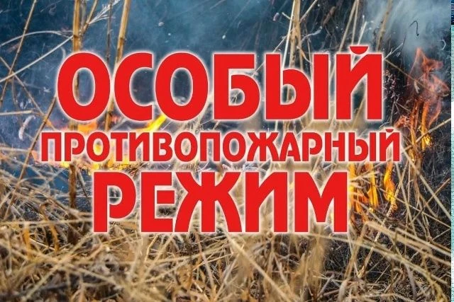 Примите к сведению  С 8 мая постановлением правительства Красноярского края от 07.05.2026 № 382-п на
