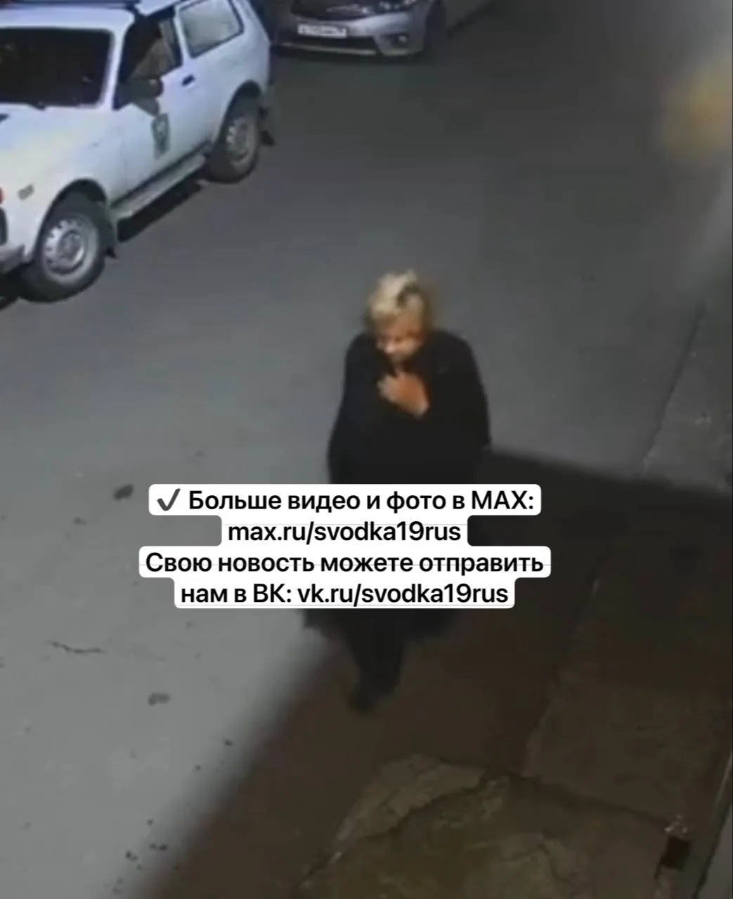 Кража саженцев сосны в Киеве: нужна помощь!