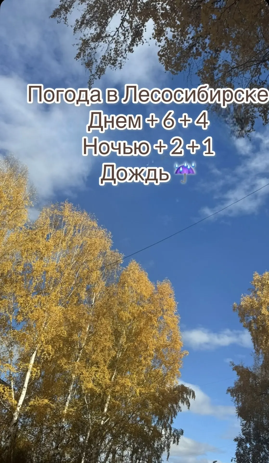 ☀️Доброе утро, друзья!