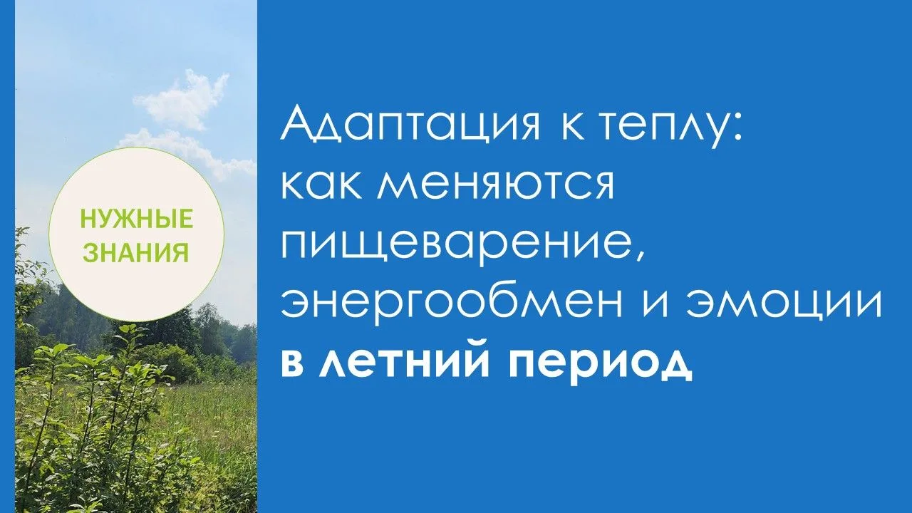 Адаптация к теплу: как меняются пищеварение, энергообмен и эмоции в летний период