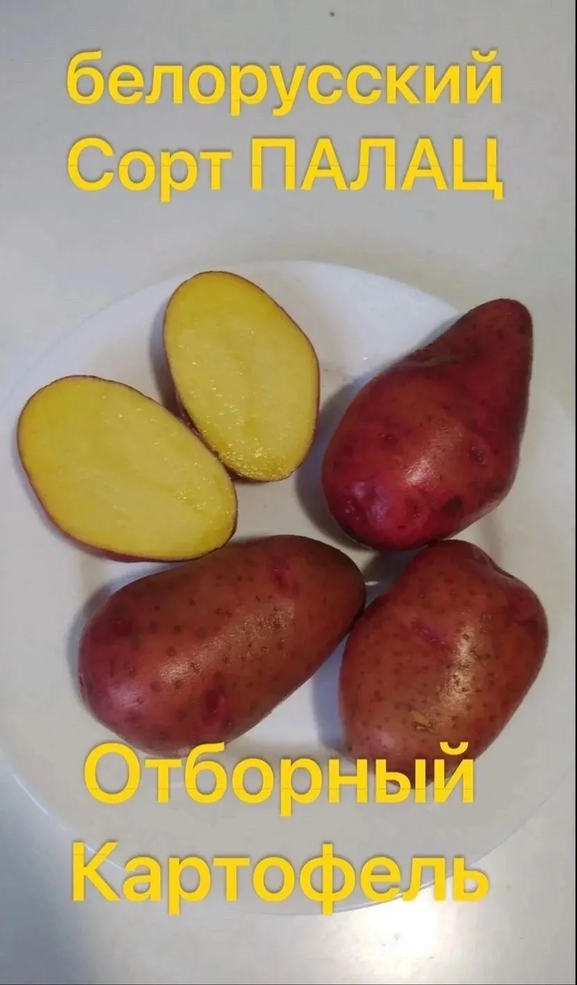 Доставка в Родники и вичугу