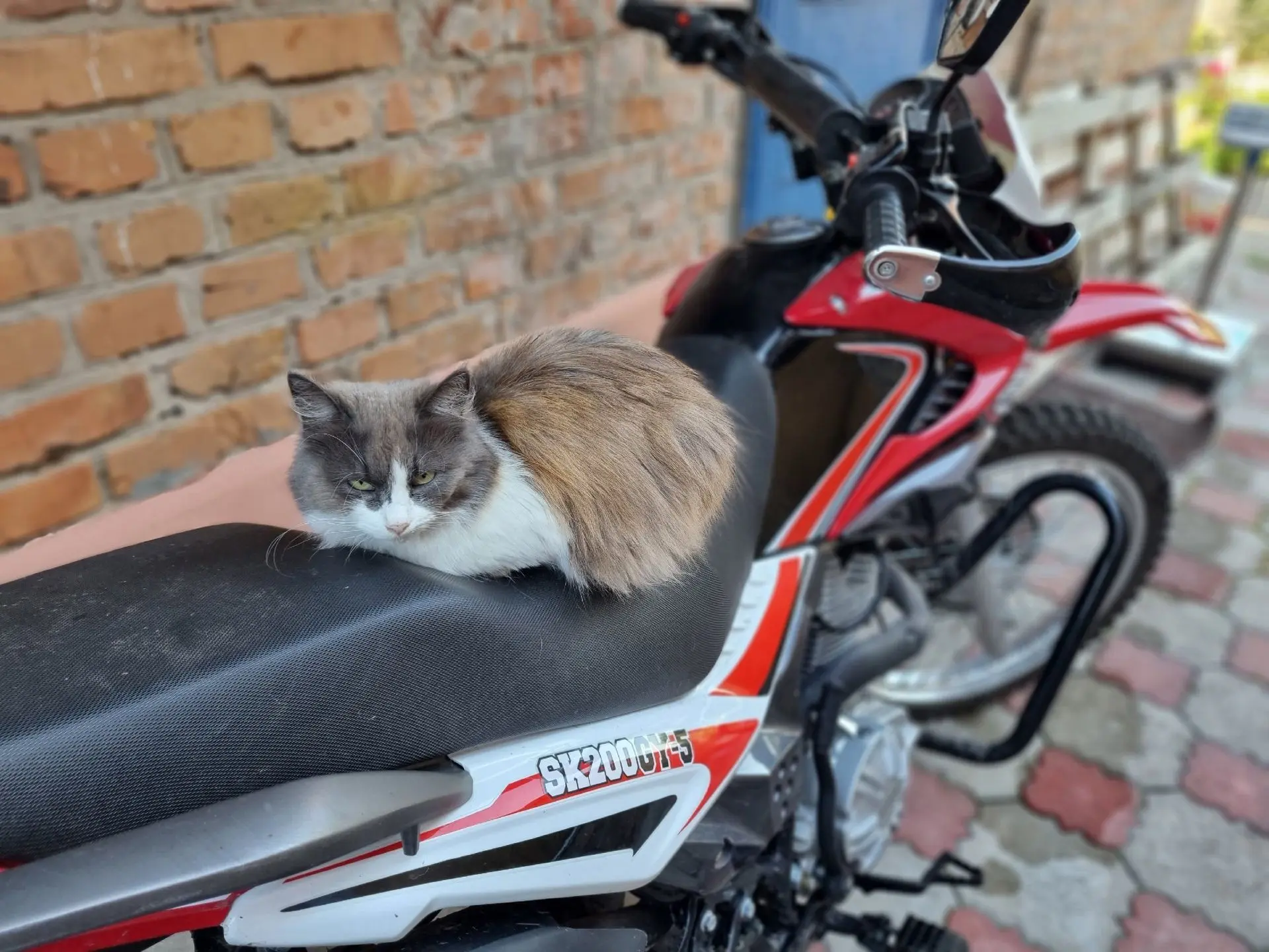 🏍 В Железногорске могут ввести временные ограничения на движение мототехники в ночное время

Поводо