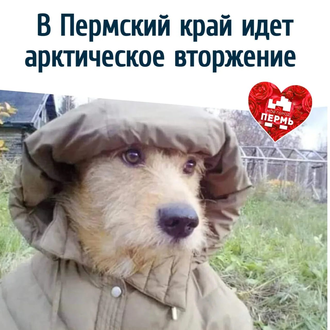 В Пермский край идет арктическое вторжение
⠀
Похоже, 16 июня с его +26°C так и останется самым жарки