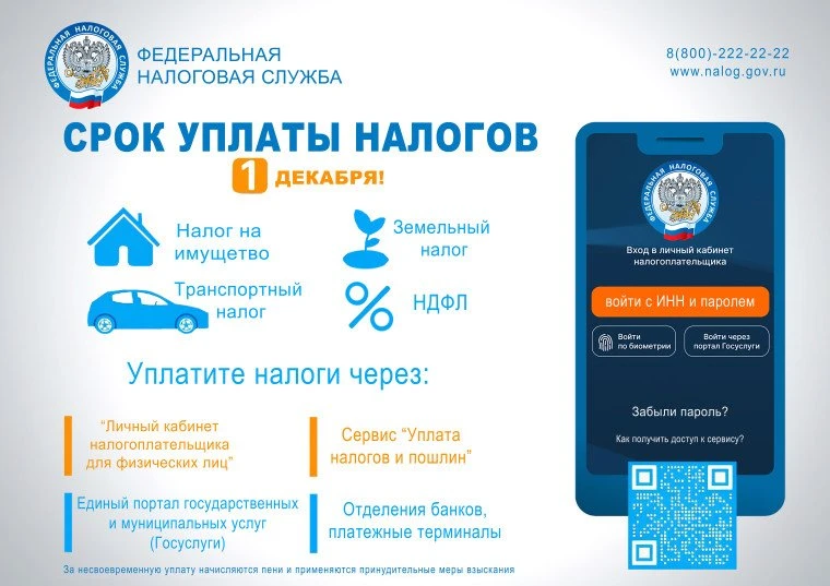 💰 Имущественные налоги за 2025 год нужно заплатить до 1 декабря