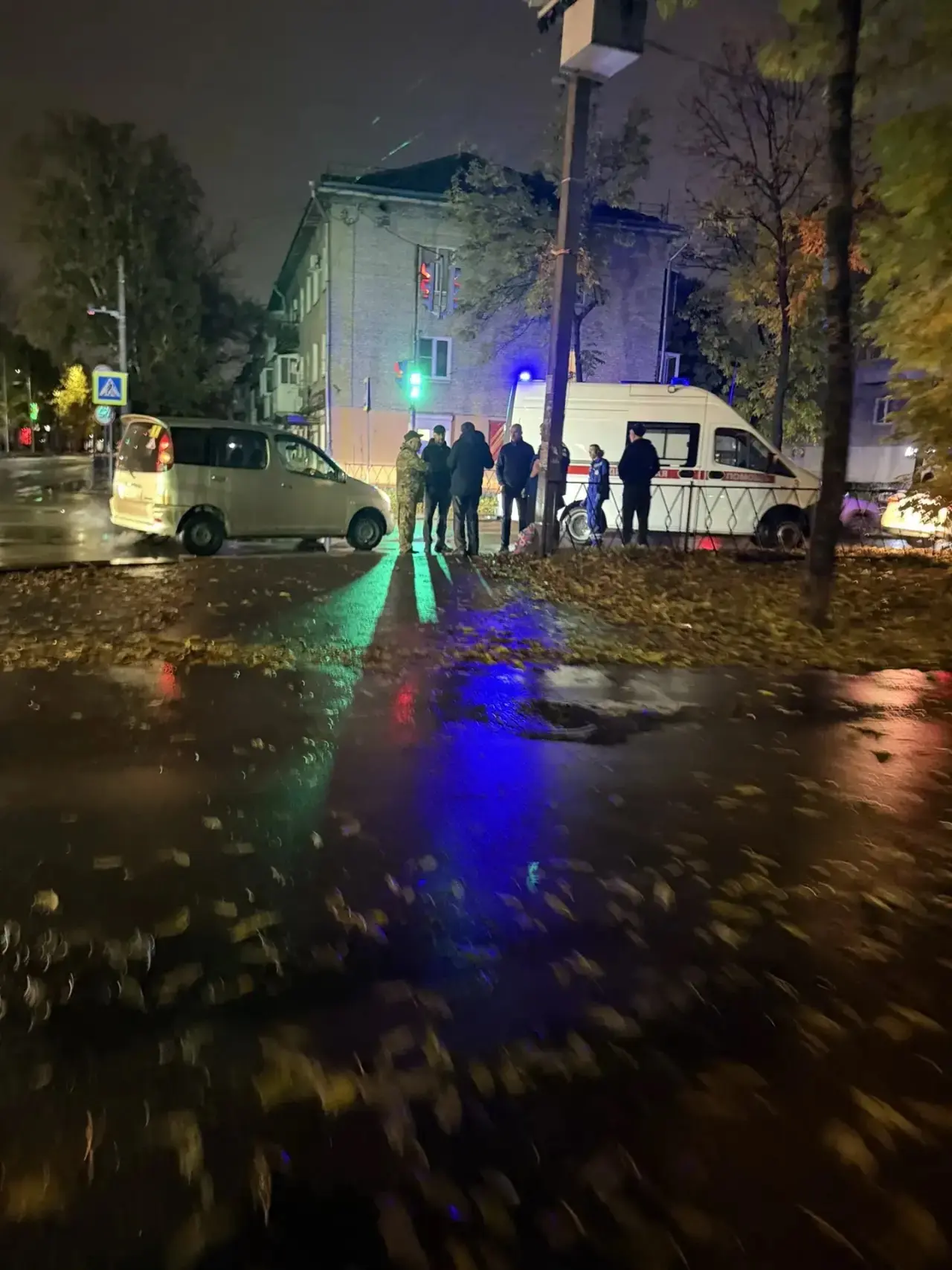 ⚡️Пожилого мужчину сбили на пешеходном переходе в Биробиджане
