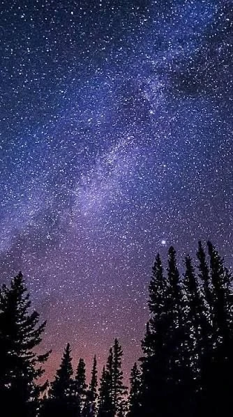 🌌 Почему люди по всему миру снова смотрят на звёзды