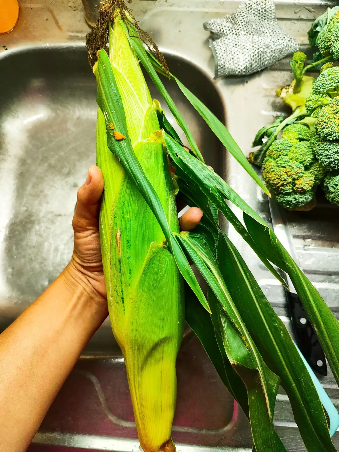 В продаже кукуруза 🌽 наивкуснейшая  😋сорт БАНДЮЭЛЬ.