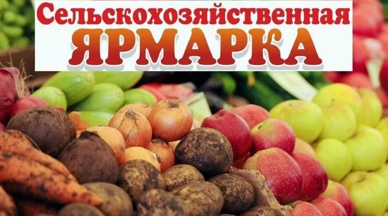 12 июня 2026 года с 08.00 до 16.00 на площади 200-летия города Ставрополя (Промышленный...