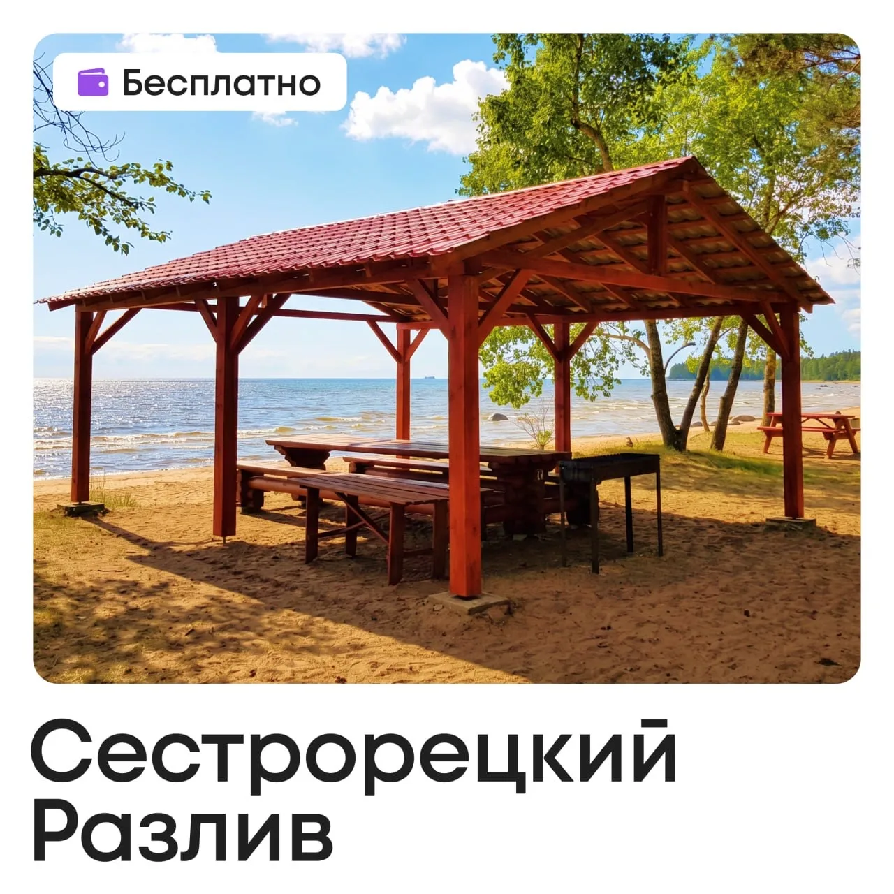 🍢 Майские без дачи: где бесплатно и законно жарить шашлыки в Петербурге   Какие майские без гриля и 