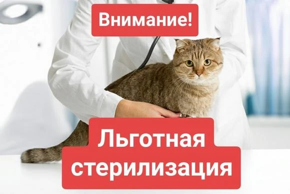 В рамках регулирования численности животных без владельцев с 1 сентября 2026 г. по 30 с...