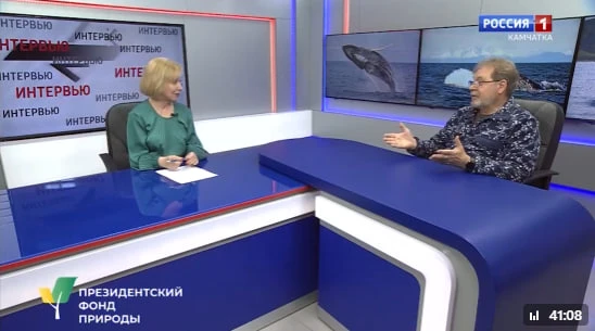 Серые киты у берегов Камчатки — символ морской природы Дальнего Востока

Их мало, и они нуждаются в 