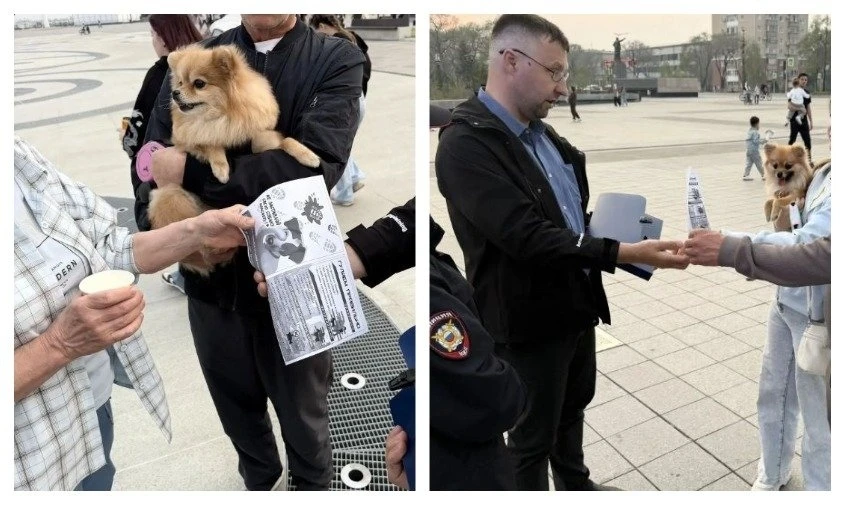 🐶 «Ни одной в наморднике»: в Благовещенске проверили, как горожане гуляют со своими собаками  На наб