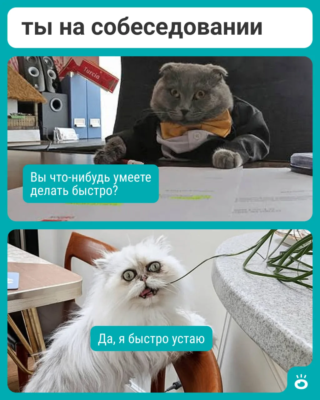 Если бы на собеседовании надо было всегда отвечать честно 🥲

✨Дарим сап-борд