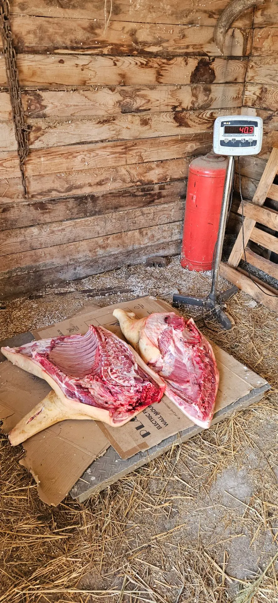Добрый вечер набираю заказ на домашние мясо  хрюшки примерный вес 90кг 2 передач  2 зад...