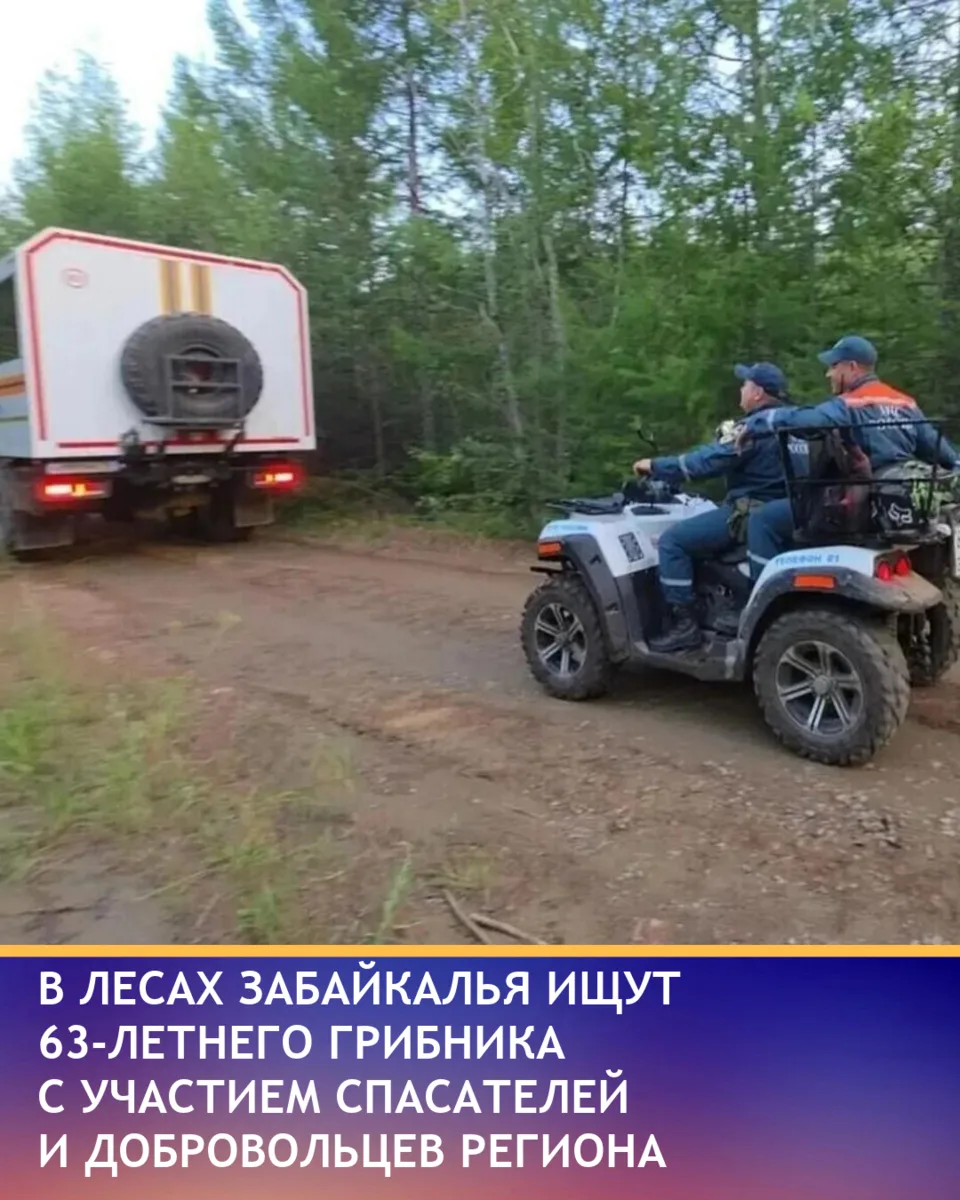 В Забайкалье продолжаются поиски 63-летнего мужчины из Читы, который ушёл в лес за гриб...