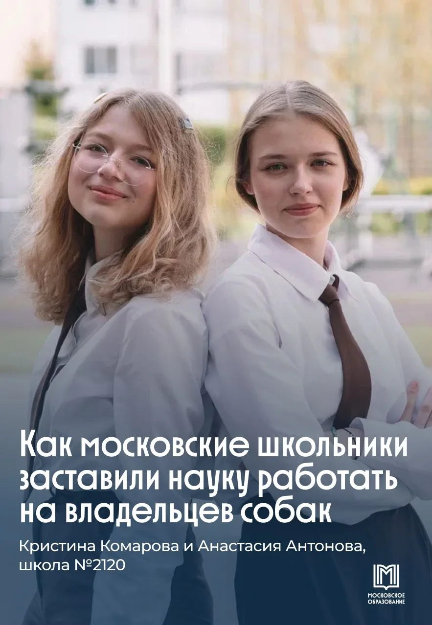 Не пылесос, а физика: московские школьники решили проблему линьки собак