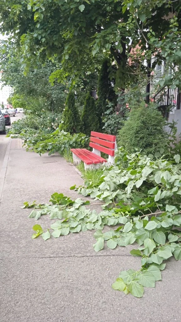🌿 Благоустройство