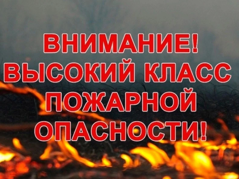 🔥В лесах Марий Эл высокая пожарная опасность!