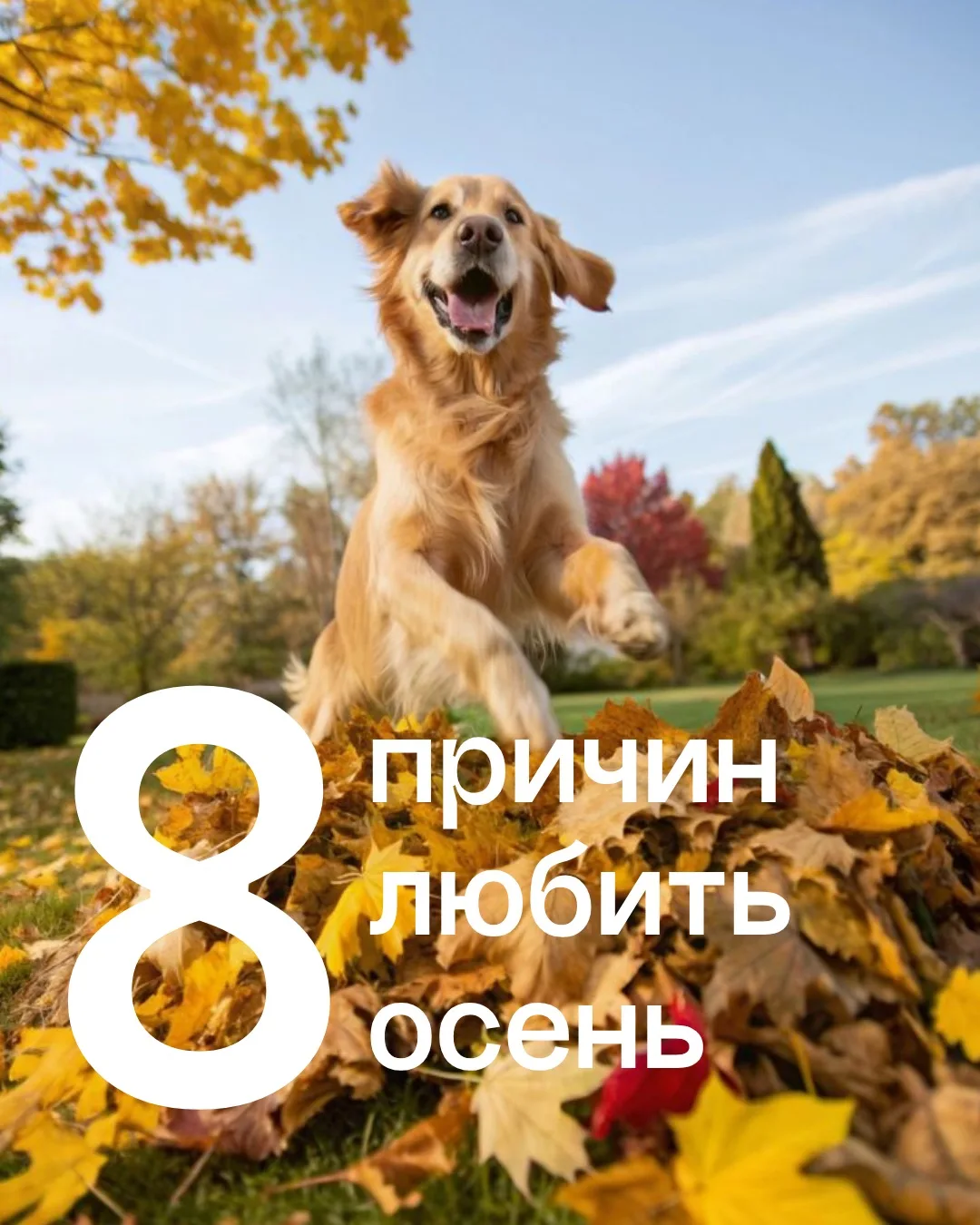 Начинаем неделю с напоминания о том, какой прекрасный сезон мы сейчас проживаем 🍁