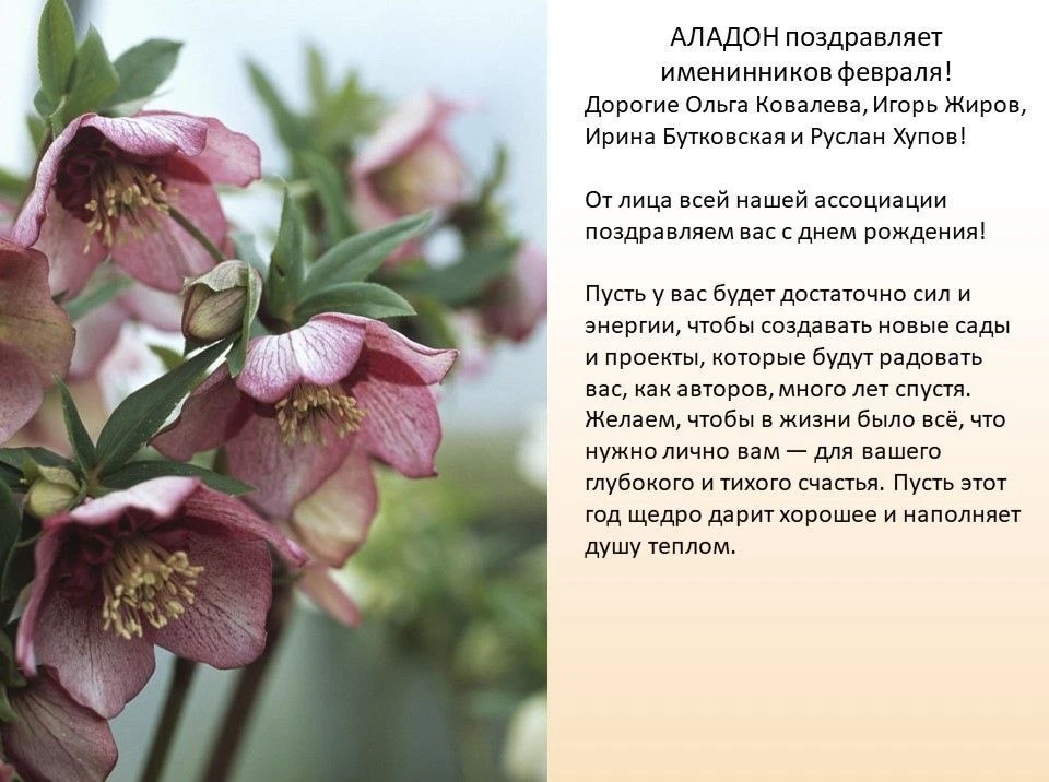 АЛАДОН поздравляет именинников февраля!