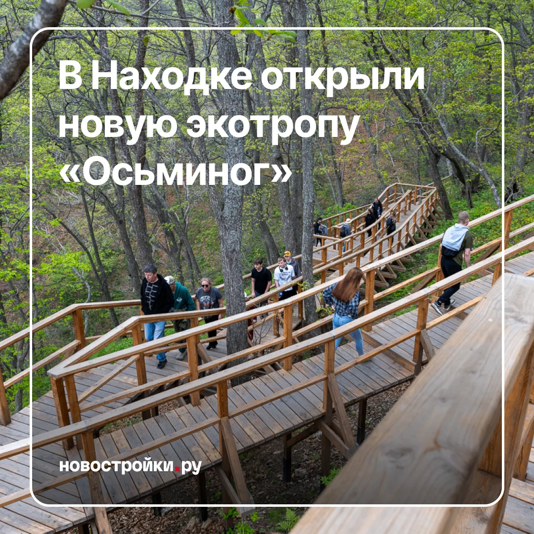 📢 Новая тропа в Приморье: 6 километров природы, которые сверху выглядят как осьминог