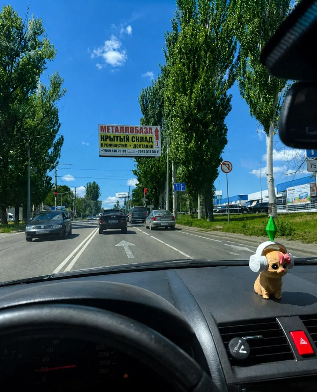 😁 Когда новые дорожные знаки возле «Галактики» в Макеевке — это важно, но кот на торпе...