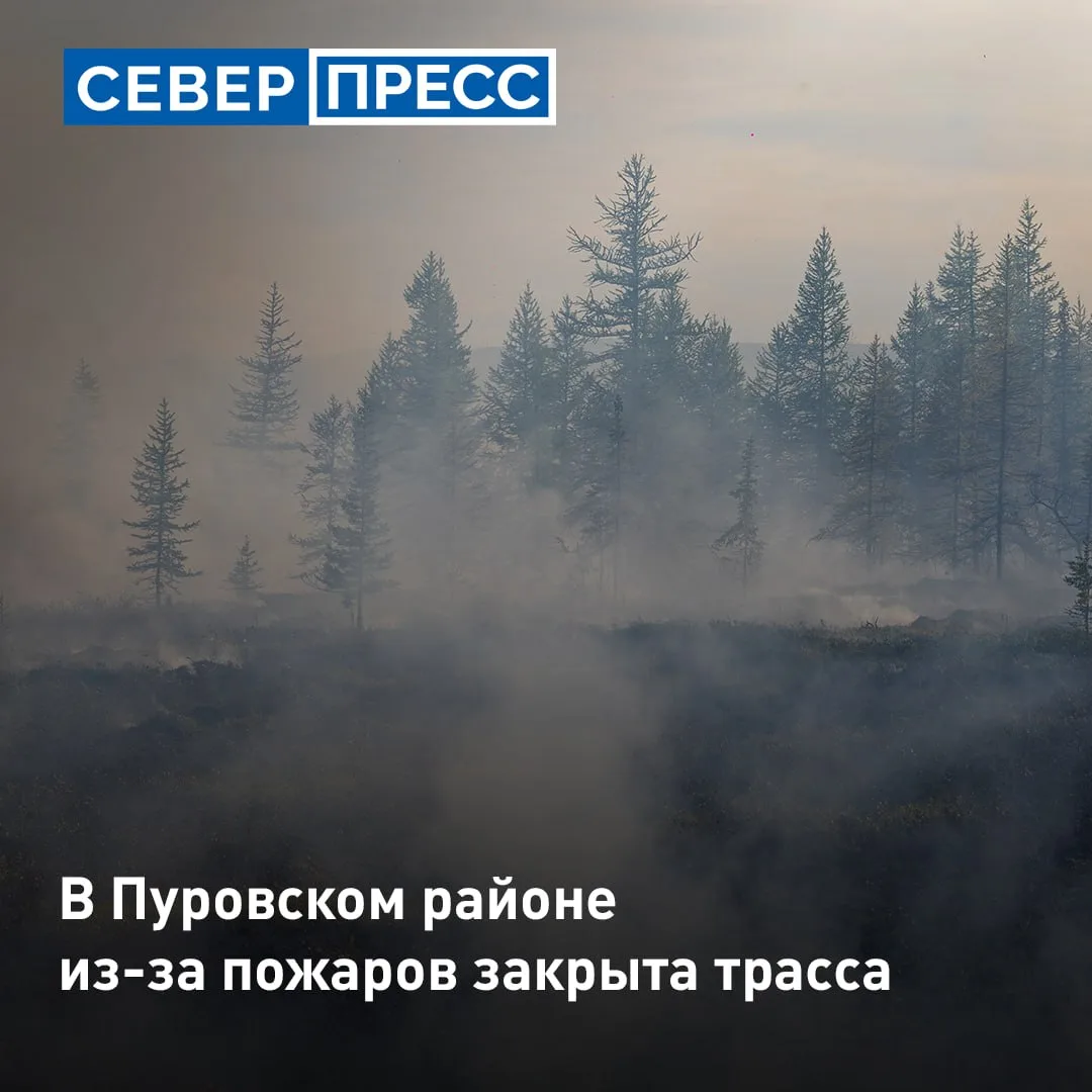В ЯНАО из-за лесных пожаров перекрыта трасса Пуровск-Коротчаево с 557 по 581 км. Об этом сообщил деп