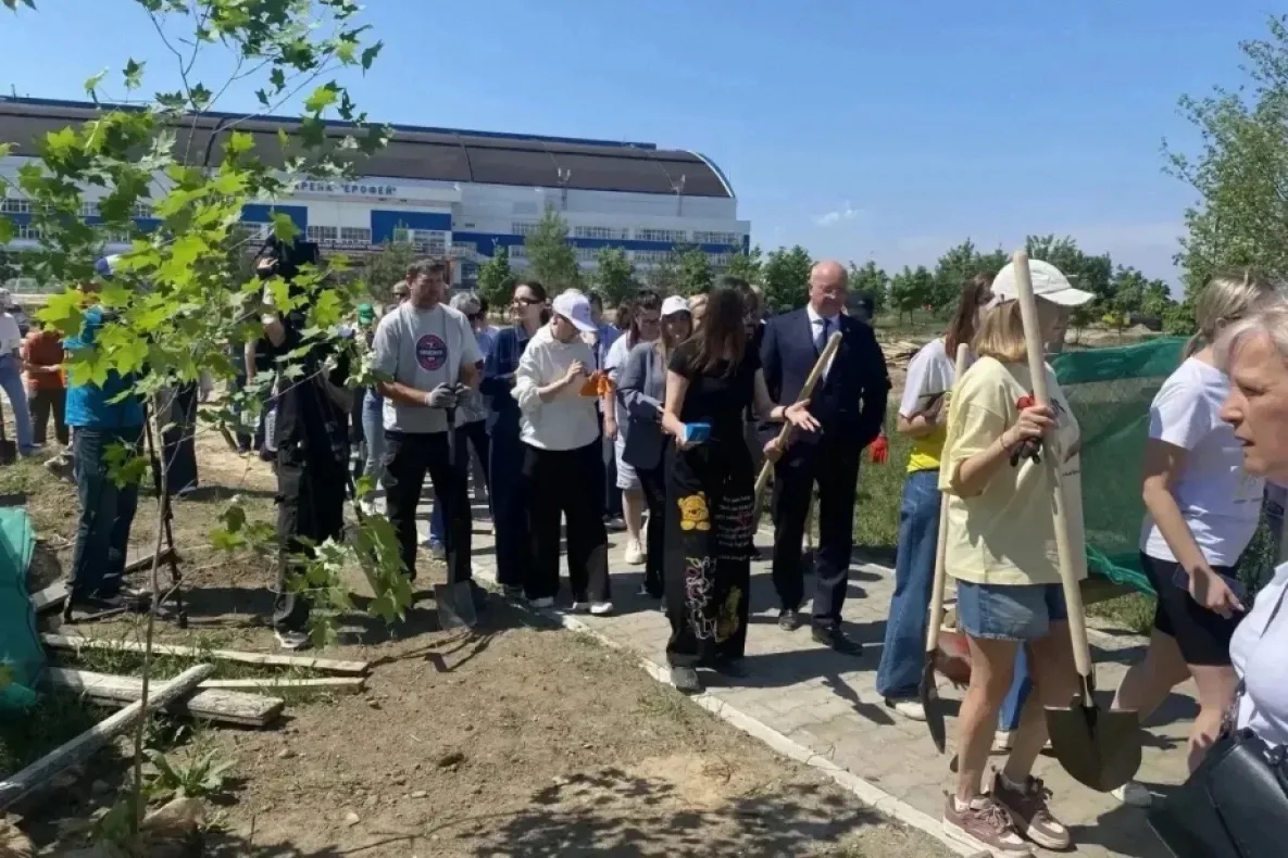 БЛАГОУСТРОЙСТВО У АРЕНЫ «ЕРОФЕЙ» | В ХАБАРОВСКЕ ВЫСАДИЛИ АЛЛЕЮ ИЗ КЛЁНОВ И ВИШНИ

В Хабаровске у аре