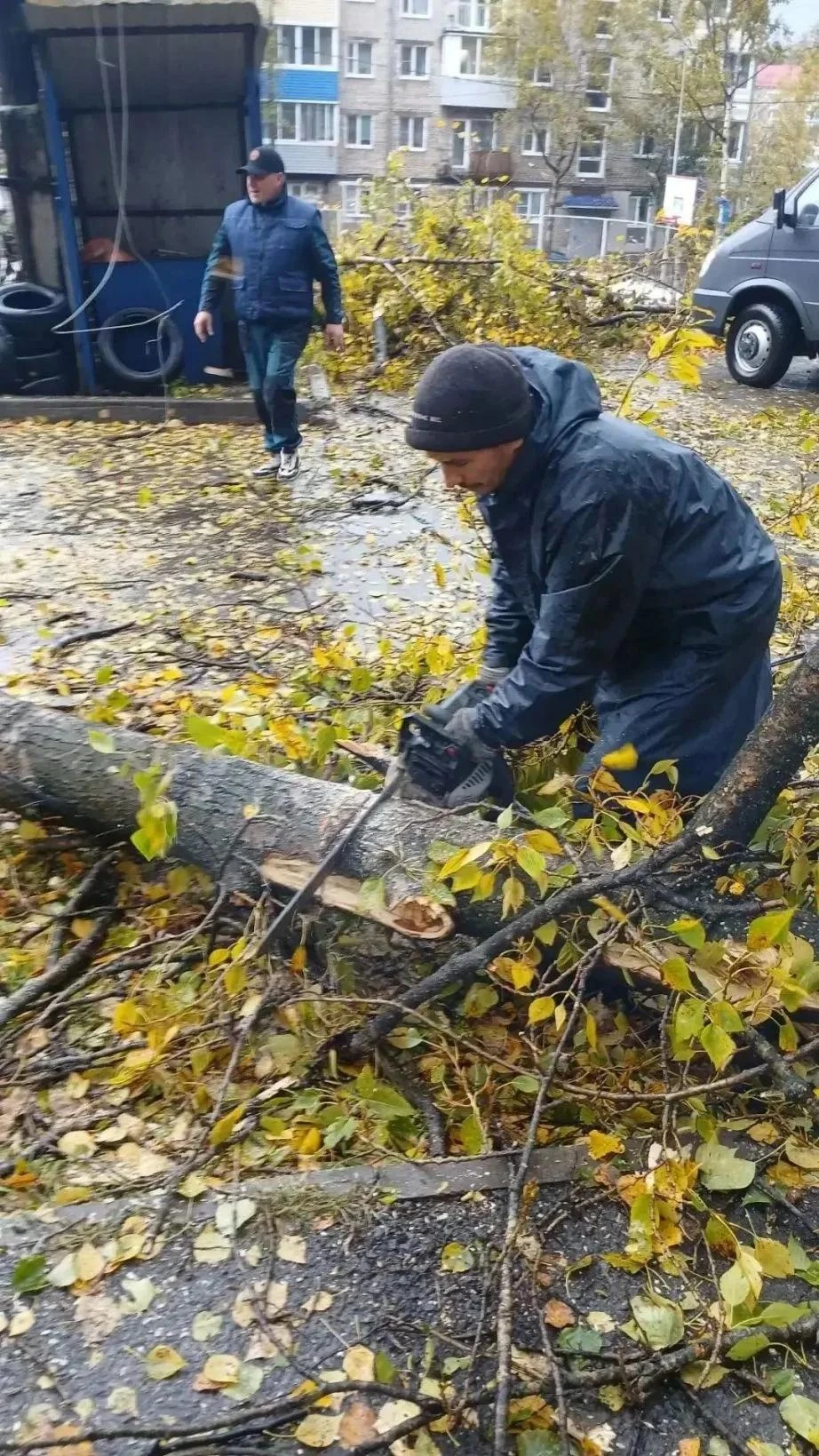 ✅ В Хабаровском крае устраняют последствия тайфуна «Джеби»