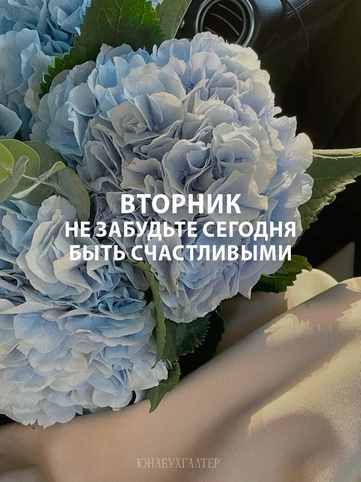Раз в неделю. В один и тот же день. Мы #напланерке.