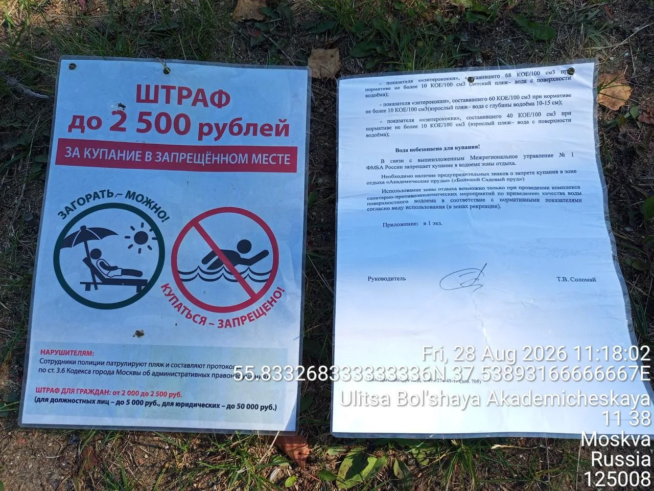 🌟 Памятки, которые лежат на земле у Большого Садового и предупреждают, что купаться не...