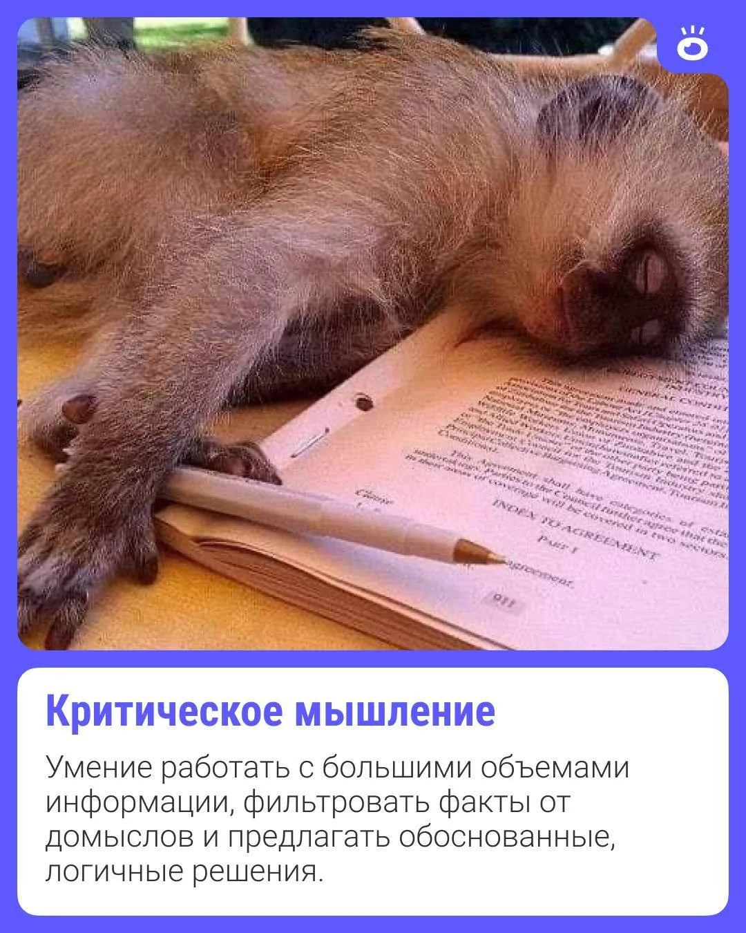 Изображение 4 к публикации «Поиск | NGS.RU | Работа Новосибирск»