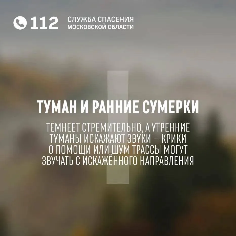 Власиха | посёлок ВНИИССОК | Одинцово | Москва🏡