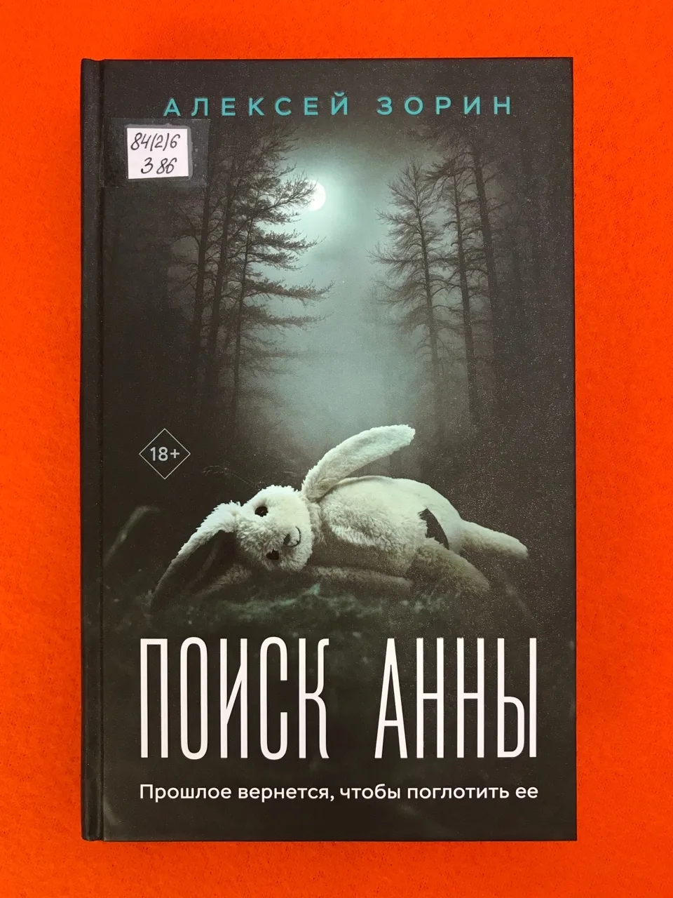 Дождливой ночью в лес вошла девушка с грудным ребенком на руках — и исчезла. На ее поис...