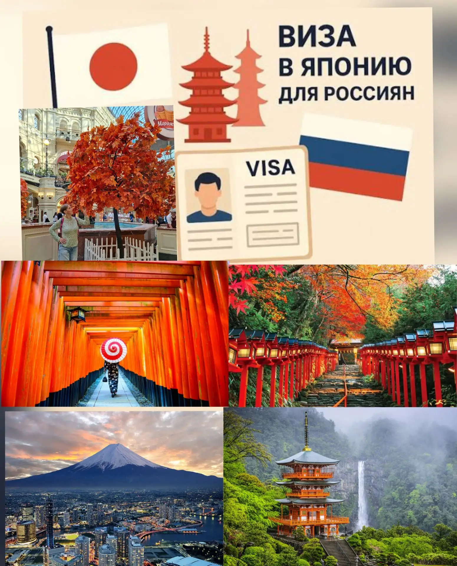 Виза в Японию.