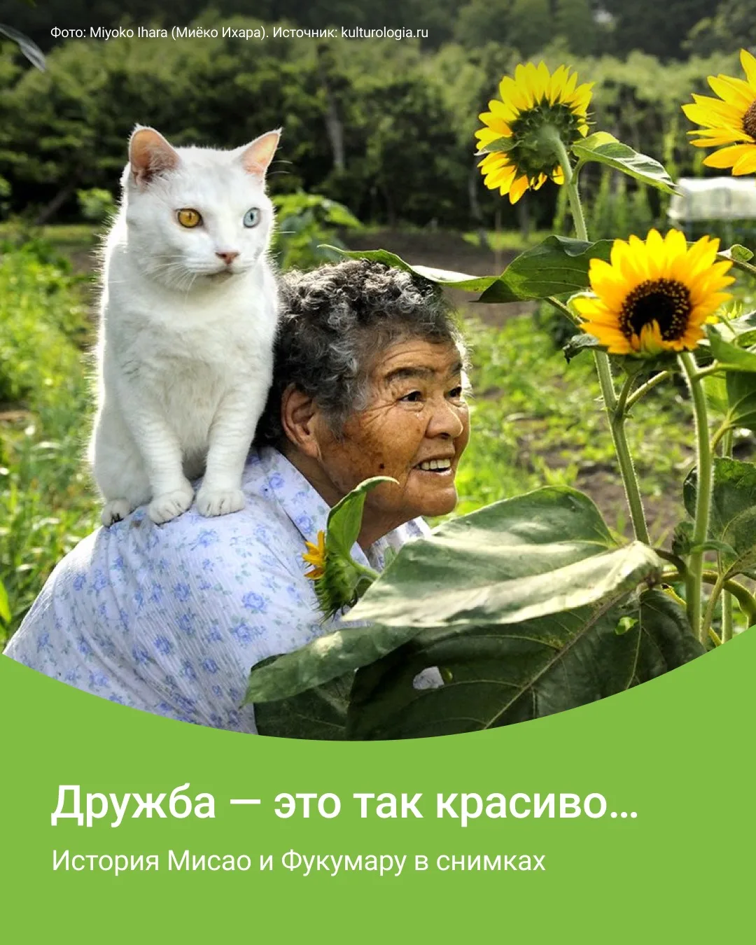 Мисао и Фукумару: история дружбы, которая длится больше десяти лет 😍