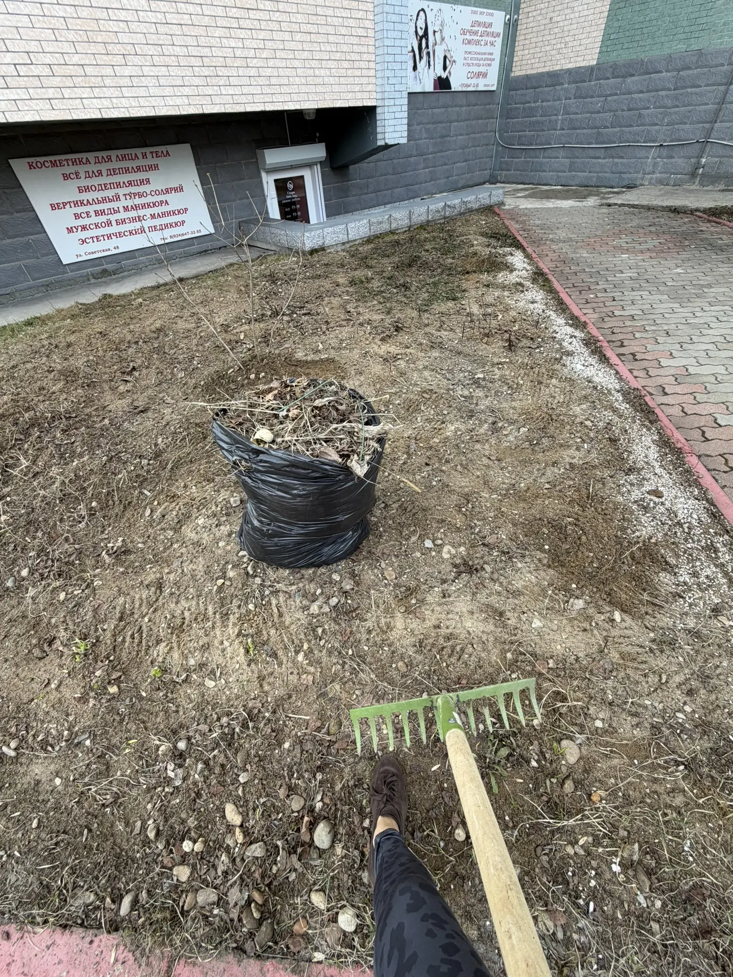 🌿 Мини-воскресник у нас!