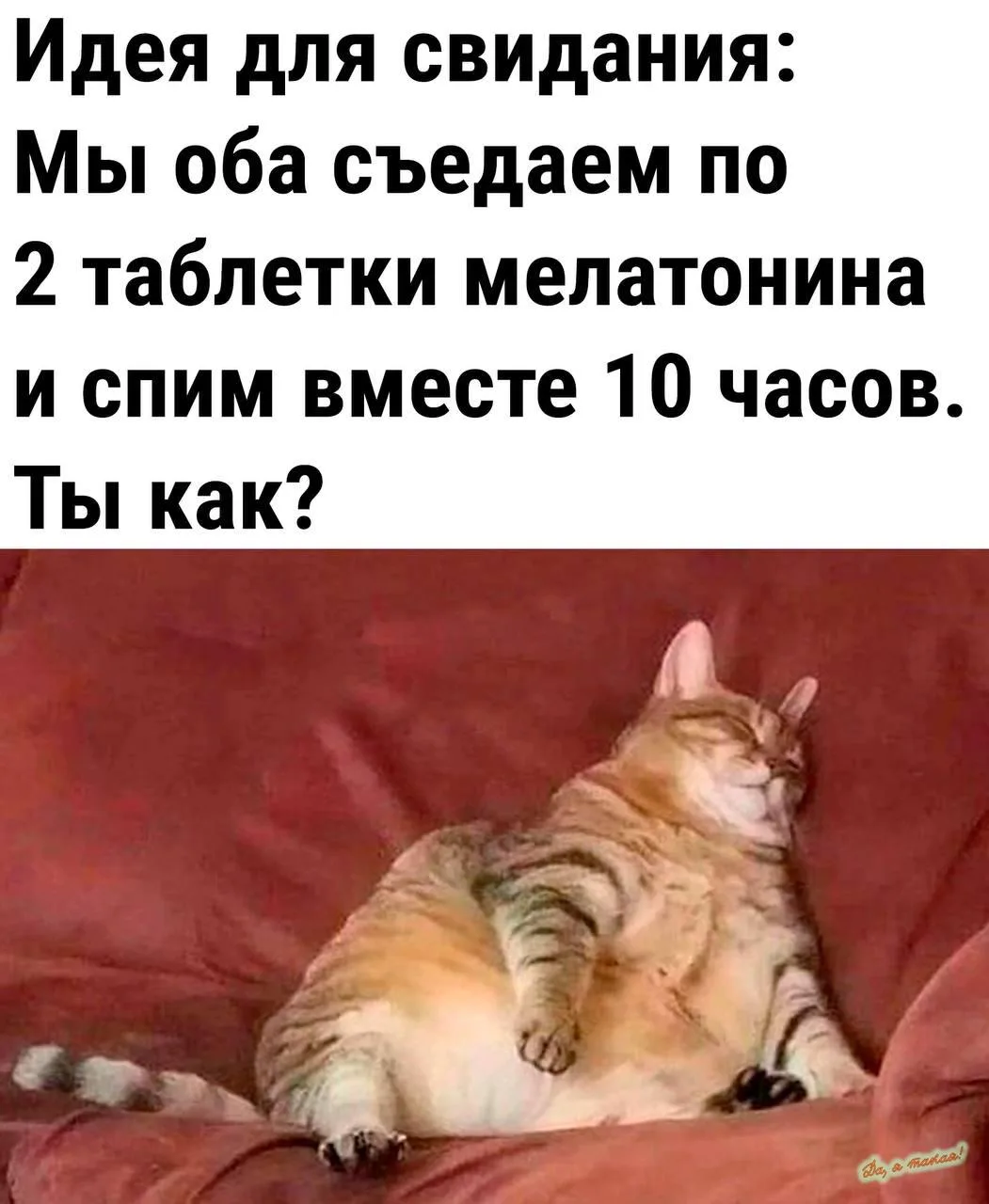 Это идеально😅

👉 Ёжка - Подписаться
