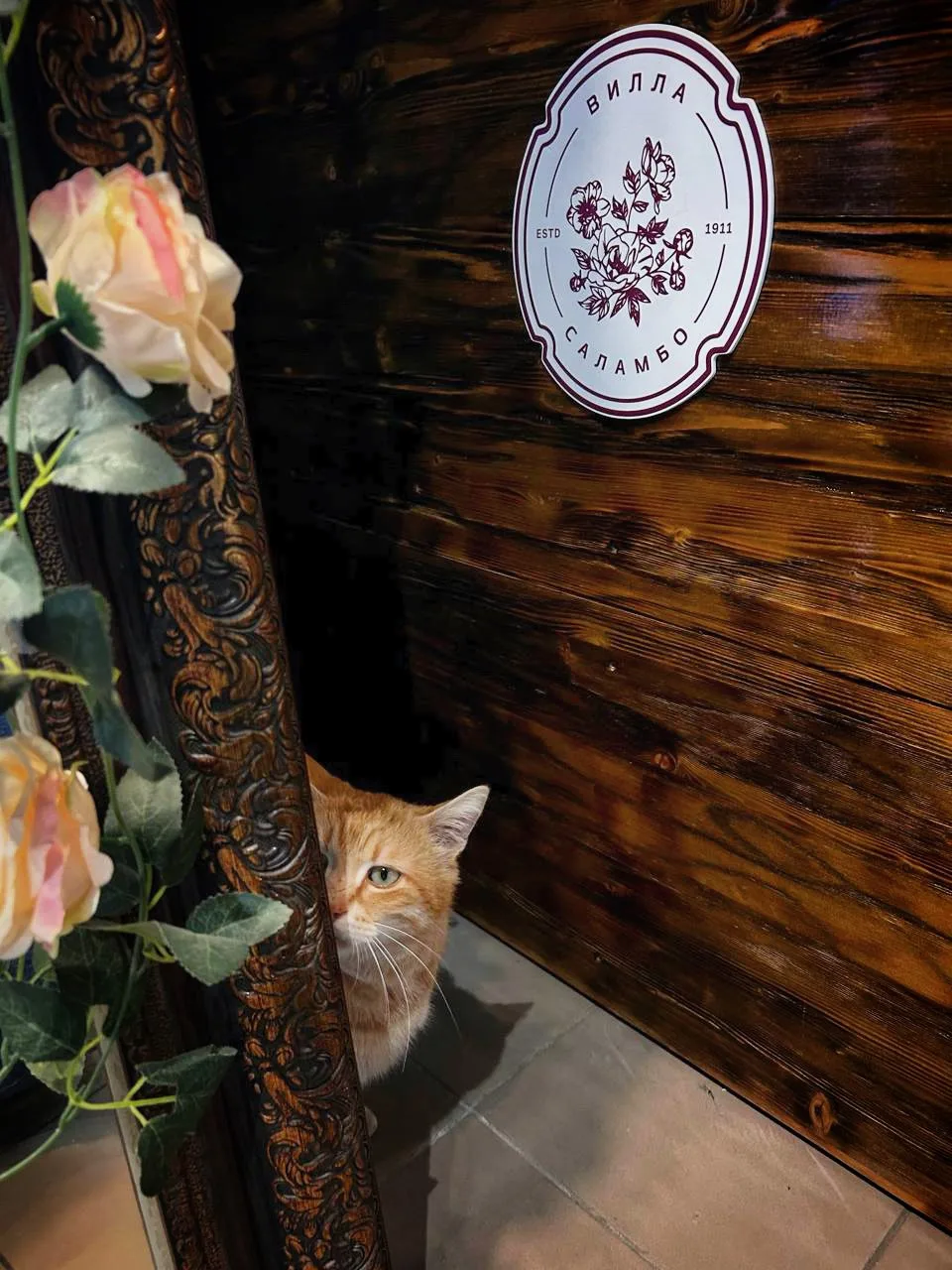 🐈 Сковородкин рекомендует фирменные сувениры из музея. Он большой поклонник сувенирной продукции. 
