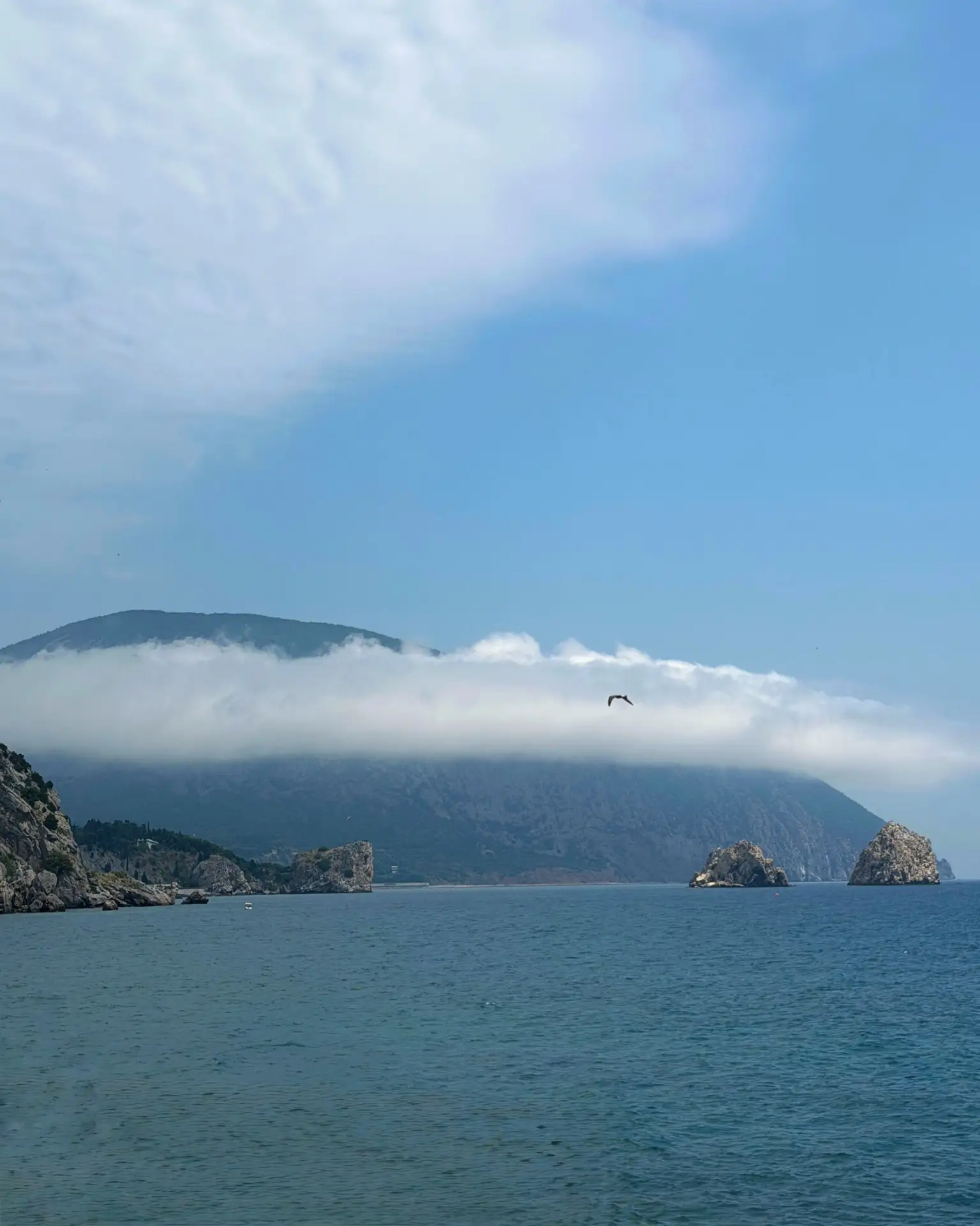 Доброе крымское 🌊 утро, друзья! Всем прекрасного дня! 

Ваш КРЫМ ЕДА ВИНО с 🤍
https://max.ru/mycri