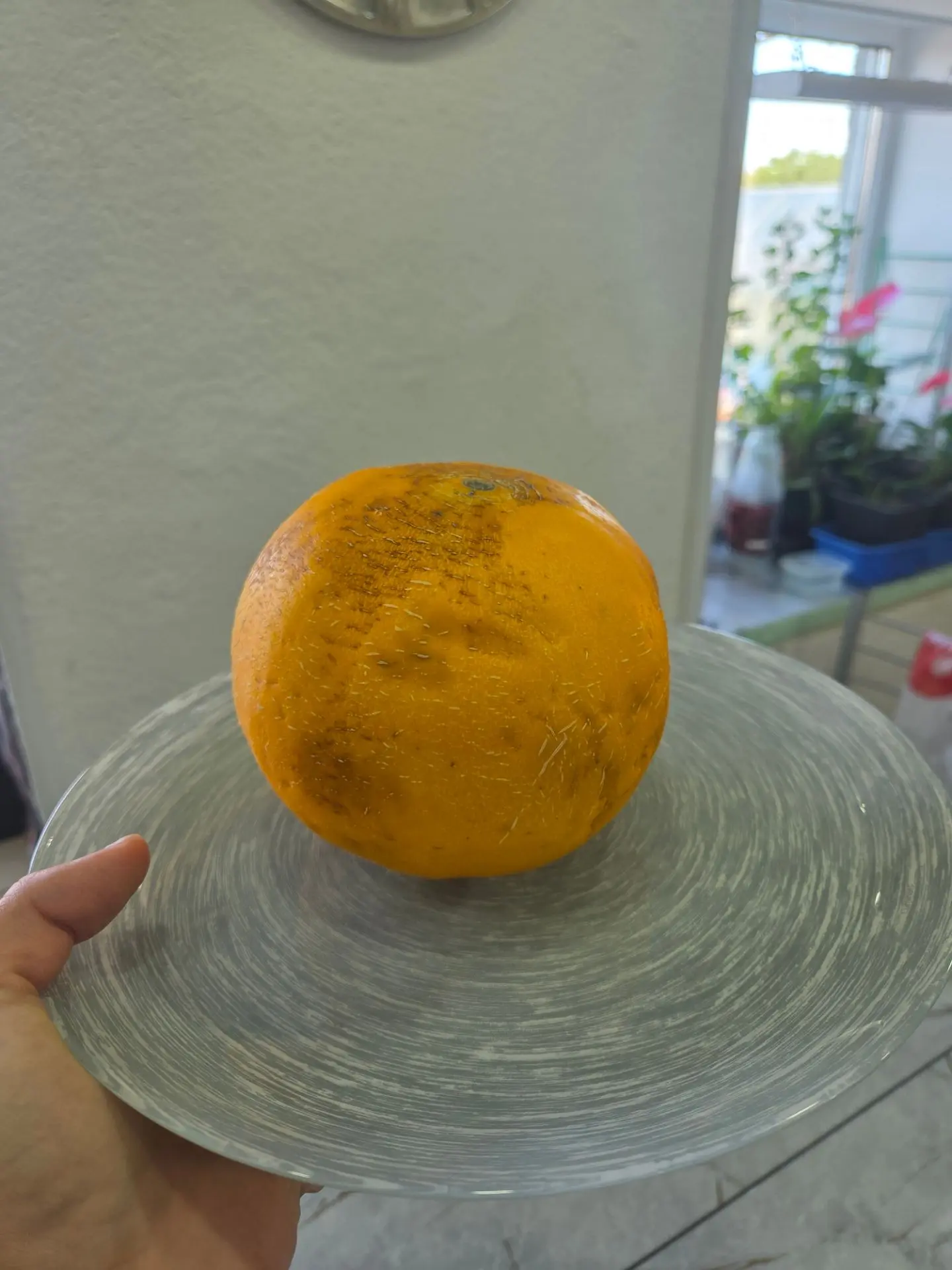 Дегустируем дыню 🍈