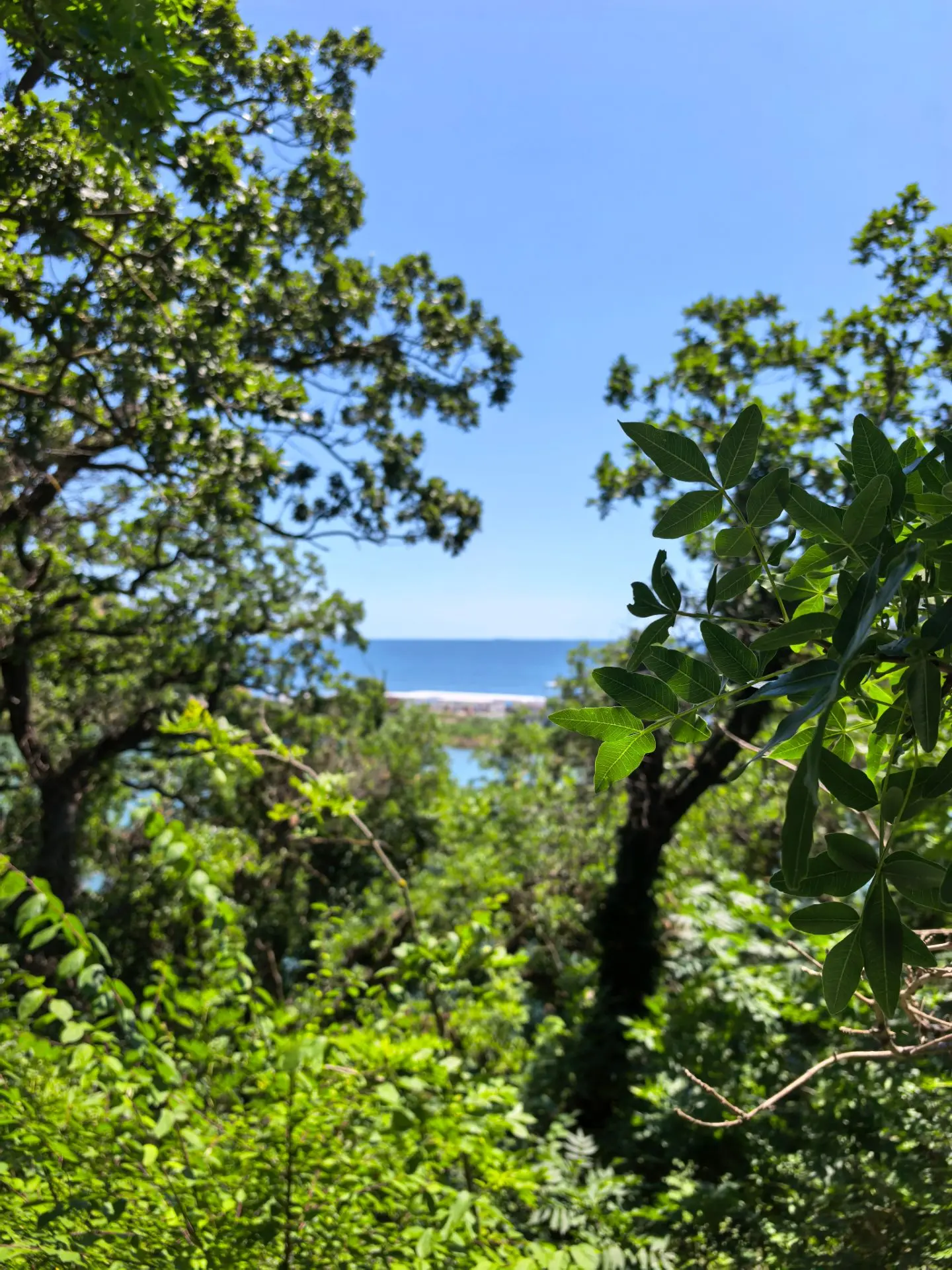 Прибежал в отпуск 🏃🏻‍♂️🏖️ На связи 📞