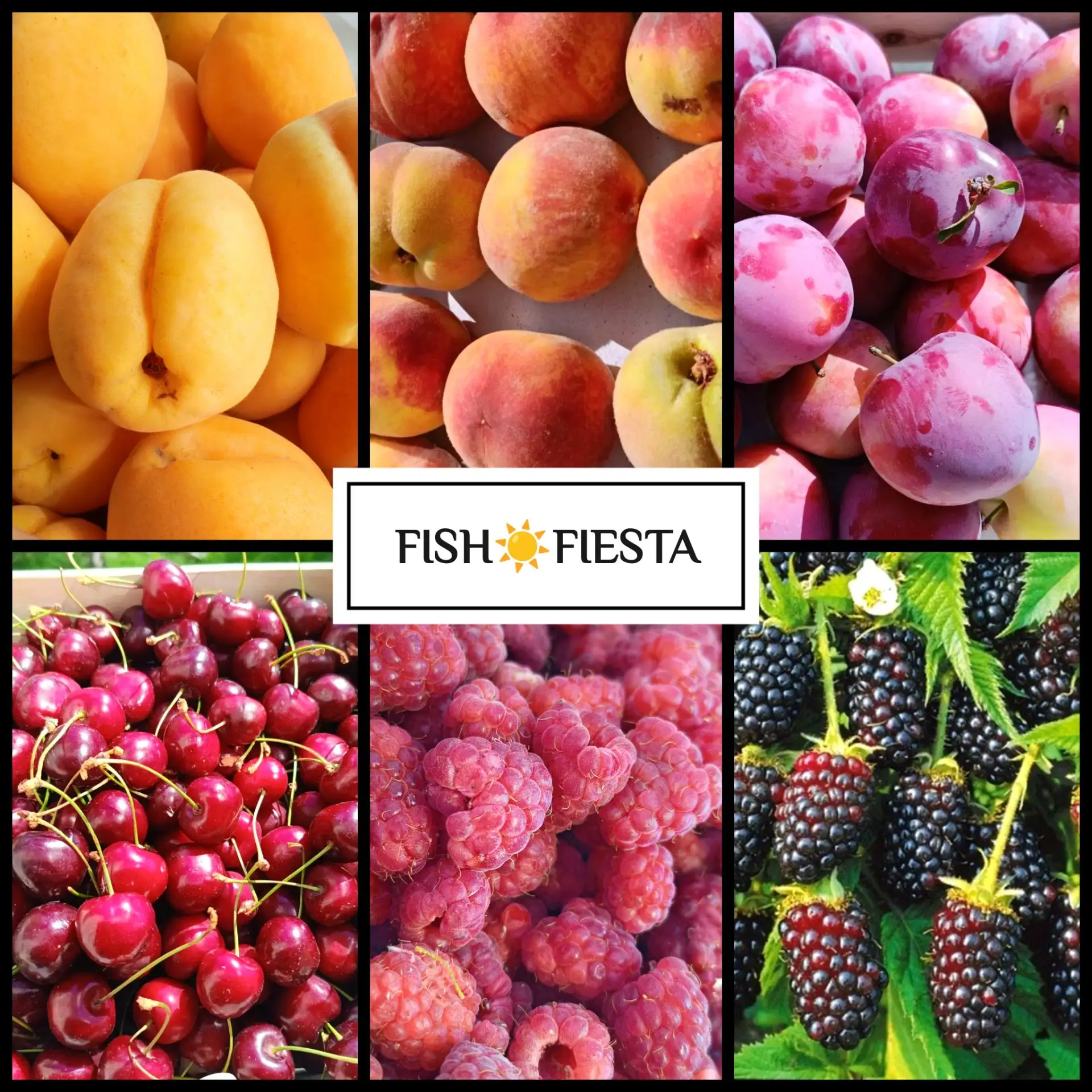 🍑СЕГОДНЯ 19.06🍒🍑
 ПОСЛЕ 15:00

🍒ЧЕРЕШНЯ 2000₽/2кг, 1050₽/кг
Сорт Валовая, отборная, вкусная

🍑П