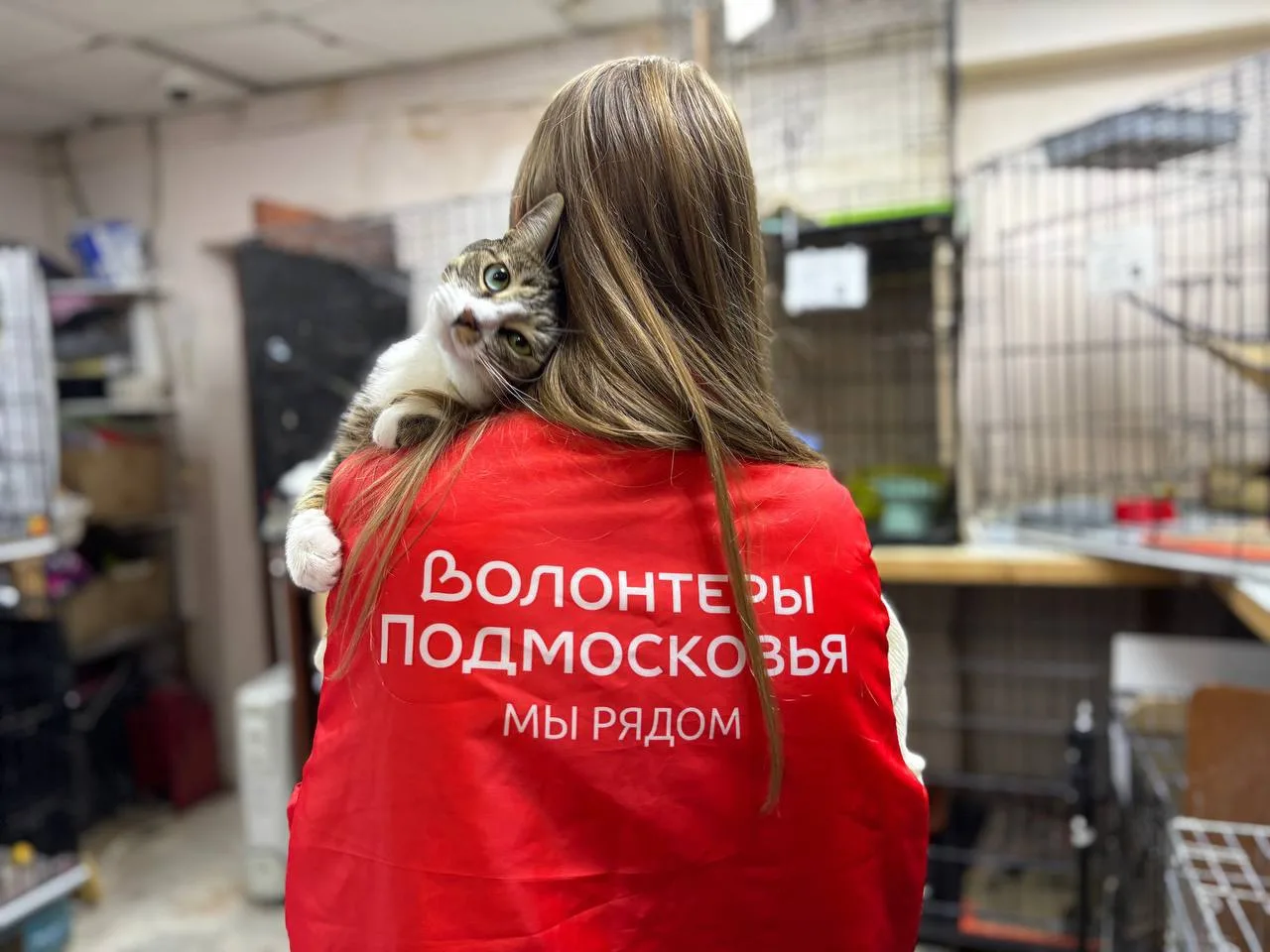 Региональное движение «Волонтёры Подмосковья» г.о. Мытищи в рамках благотворительного п...