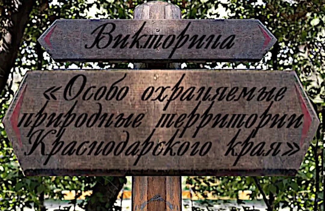 Сегодня в онлайн-формате состоится викторина «Особо охраняемые природные территории Кра...