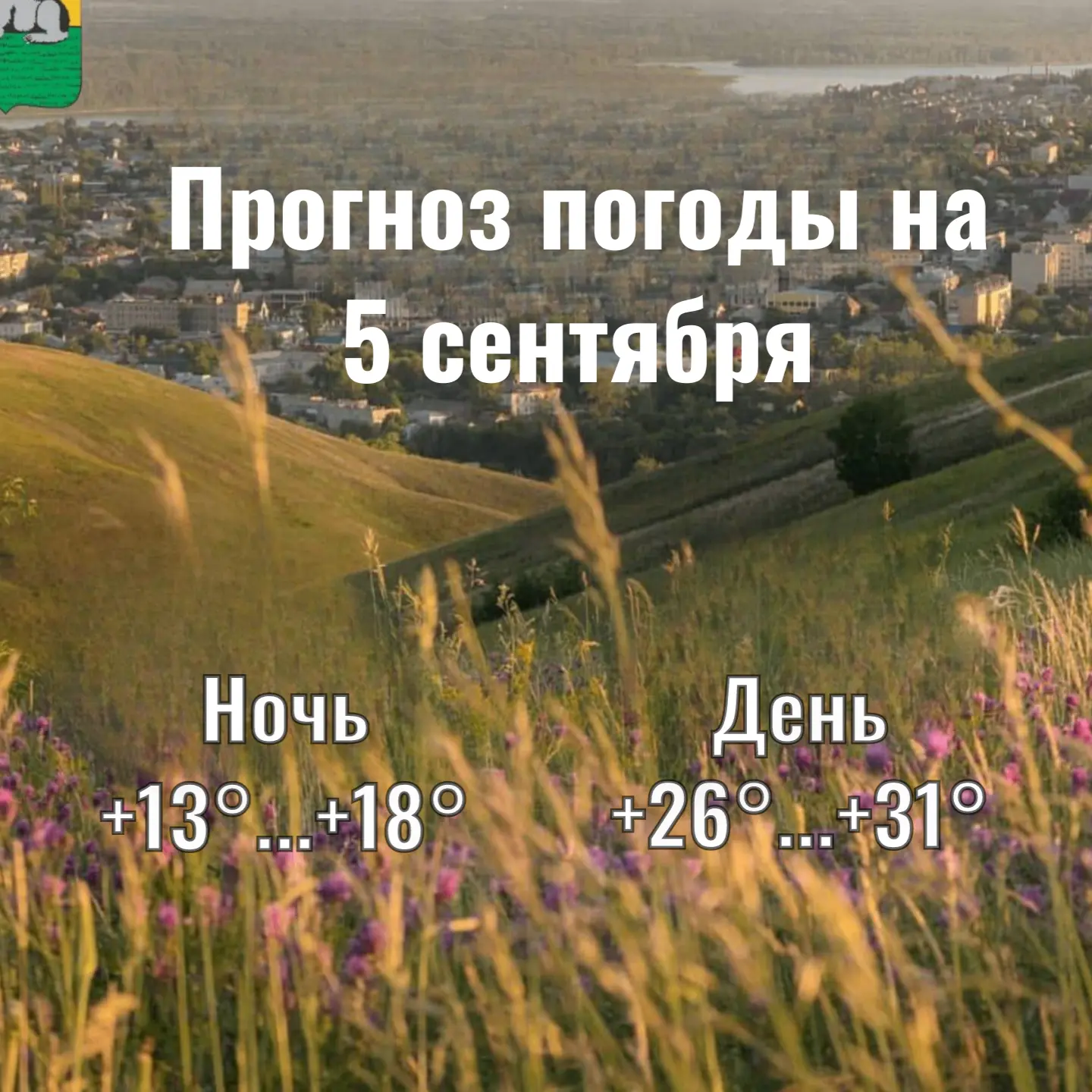 ночь: переменная облачность. Местами небольшой дождь, возможна гроза. Местами туман (50...