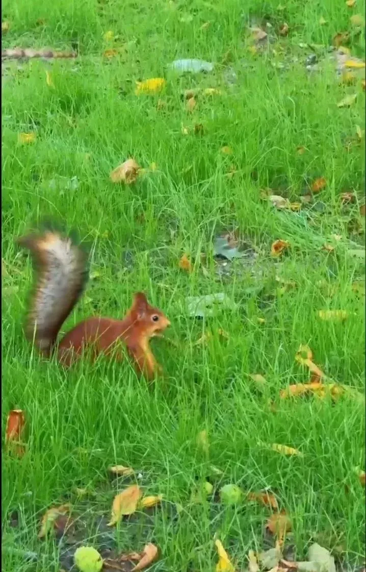 Доброй ночи, Казань! 💚