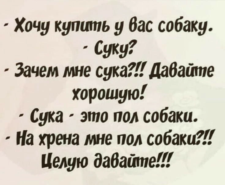 😂😂😂