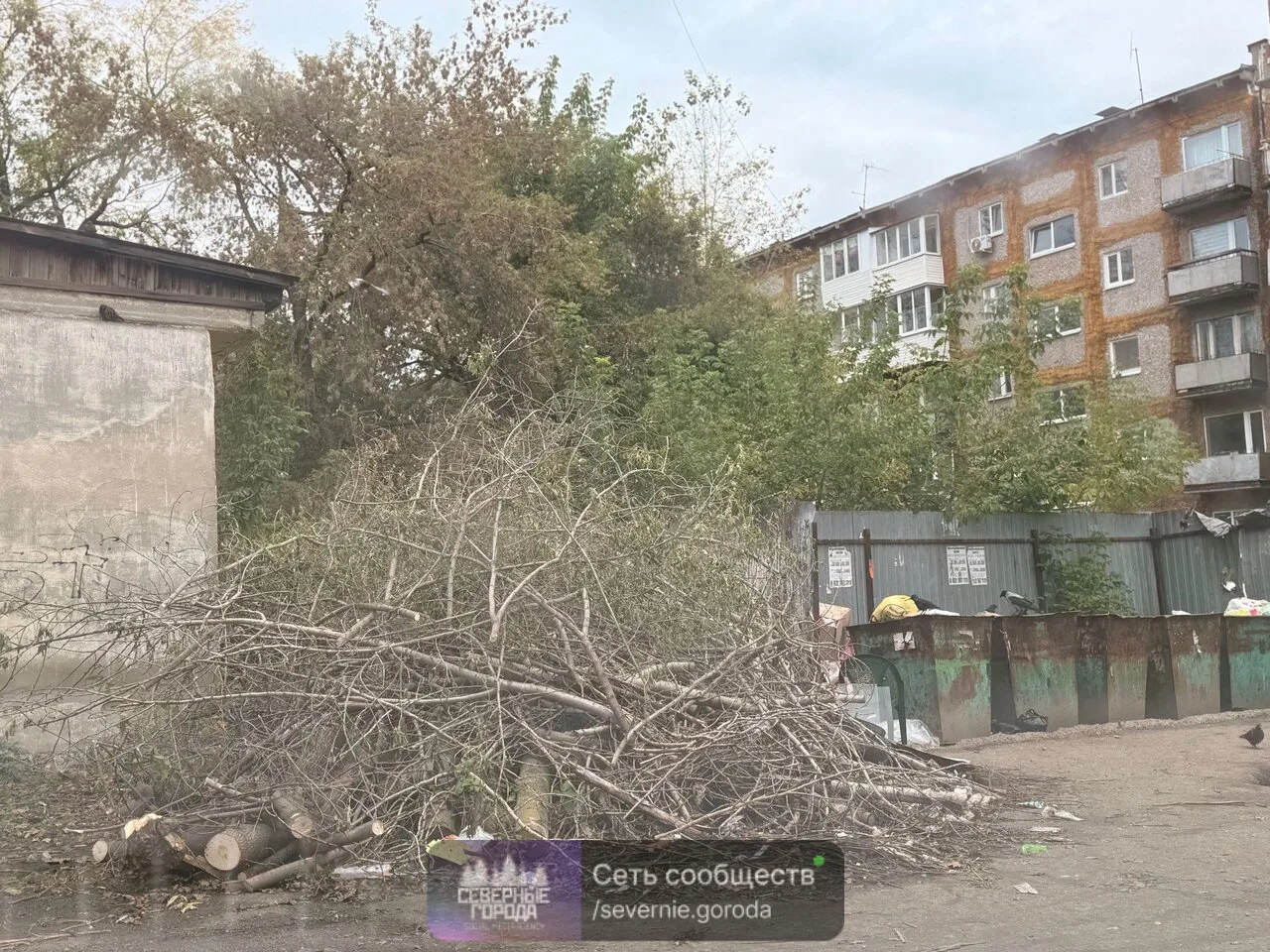 🗑 МУСОРНЫЙ СЮРПРИЗ :