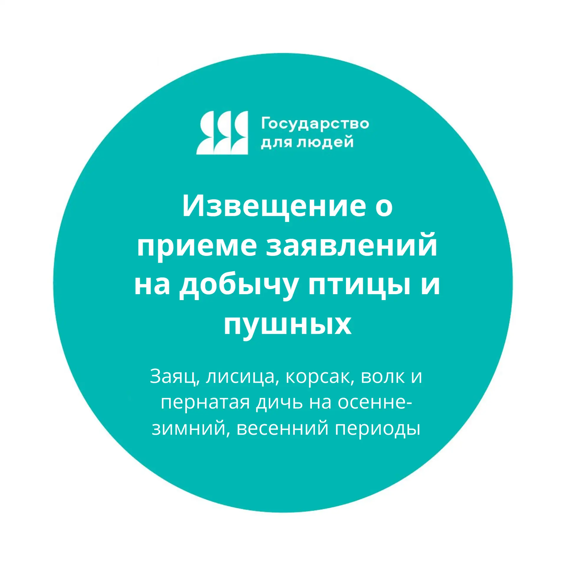 Начат прием заявлений на добычу птицы и пушных